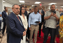 القنصلية العامة