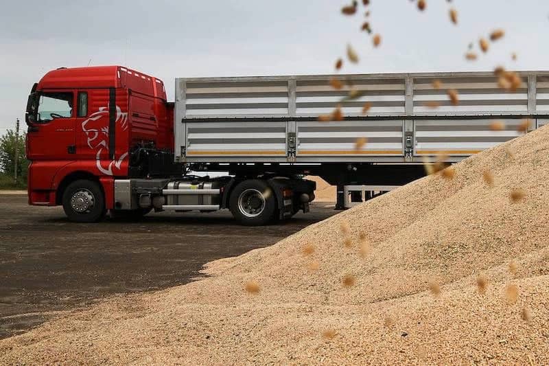 المغرب يضاعف وارداته من القمح الروسي وسط تغيّرات في سوق الحبوب العالمية