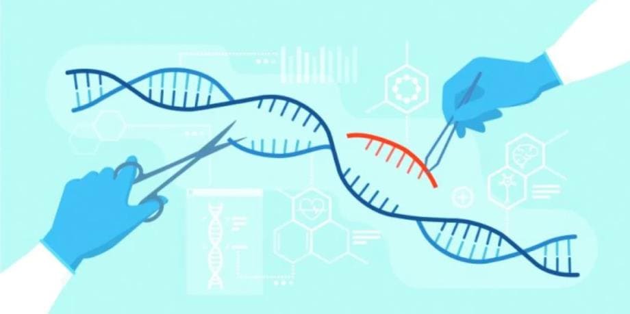 CRISPR La thérapie génique de troisième génération ouvre de nouvelles voies pour le traitement des maladies génétiques 1 تقنية "كريسبر" الجينية في جيلها الثالث تفتح آفاقاً جديدة لعلاج الأمراض الوراثية