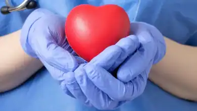 التبرع بالأعضاء: الذكاء الاصطناعي يفتح عهدًا جديدًا في زراعة الأعضاء