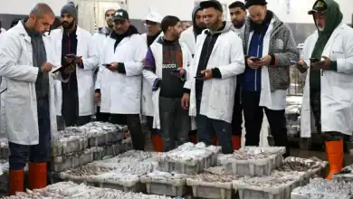 المتوسط المغربي: تراجع مخزون الأسماك بأكثر من 30% منذ 2017