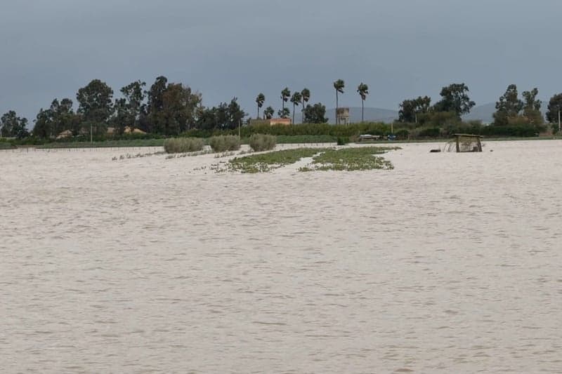 Le traiteur perturbe l'inondation piégée 1 التموين يزعج محاصرين بالفيضانات