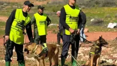 أزيلال: مروحية وطائرات مسيرة وكلاب مدربة تواصل البحث عن التلميذة المفقودة