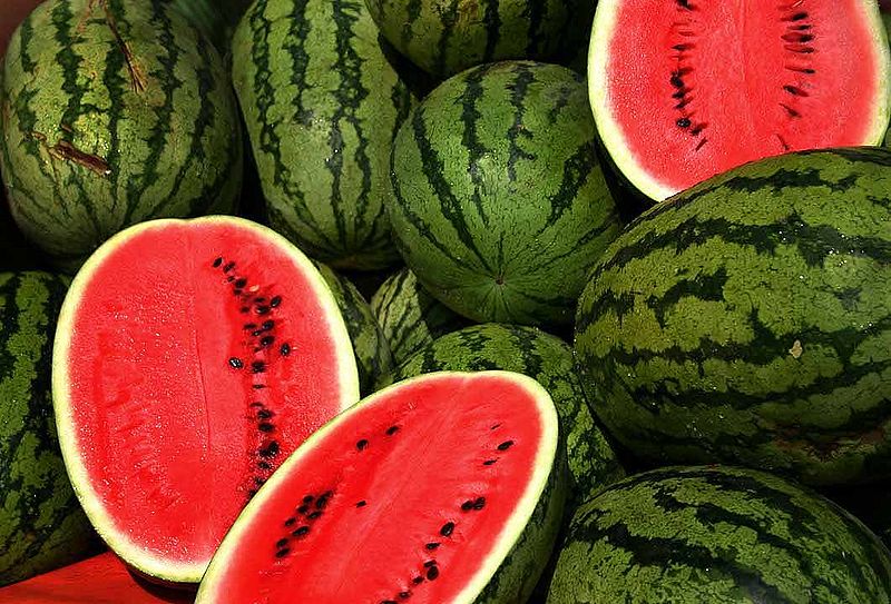شائعات البطيخ المغربي ترعب المستهلكين.. الأسعار تنهار والوسطاء يربحون من الخوف
