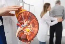 مشروب بسيط يحمي الكلى أفضل من البدائل المعززة.. الخبراء يحسمون الجدل