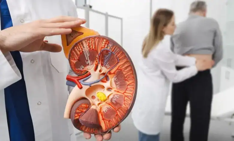 مشروب بسيط يحمي الكلى أفضل من البدائل المعززة.. الخبراء يحسمون الجدل