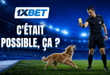 Cinq règles surprenantes du football que beaucoup ignorent peut-être-1xbet