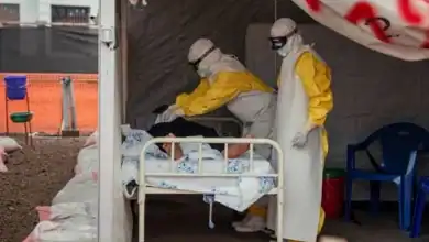 إيبولا يعود من بوابة الحيوانات.. دراسة تكشف سبب التفشي الخطير في أوغندا والكونغو