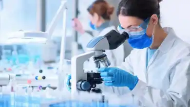 اختراق بلجيكي في علاج سرطان الكبد.. العلماء يكشفون كيف تخدع الخلايا المناعة
