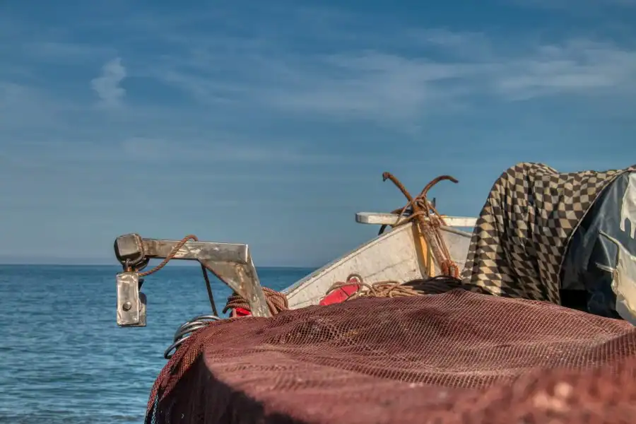 Forte hausse des prises de sardines au Maroc : les quantités ont augmenté de 66 % 1 قفزة قوية في صيد السردين بالمغرب وارتفاع الكميات بـ66%