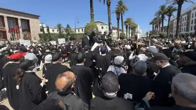 avocats parlement manifestation 2