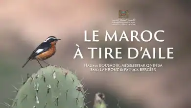 أكاديمية المملكة المغربية تسلط الضوء على التنوع البيئي من خلال إصدار مؤلف علمي جديد