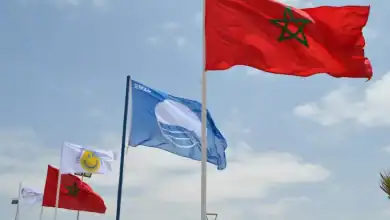 العلم الأزرق