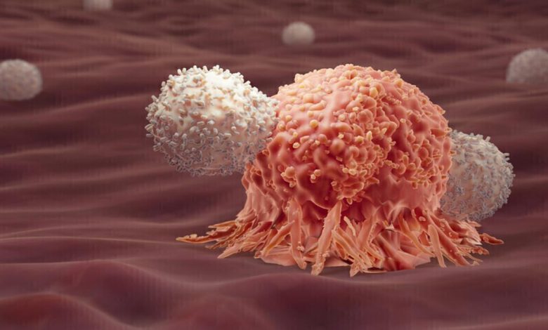 Un test sanguin révolutionnaire détecte le cancer des années avant l'apparition des symptômes اختبار الدم الثوري