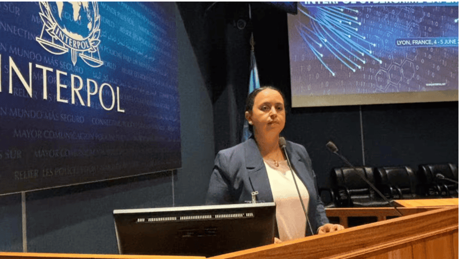 مجموعة خبراء الإنتربول العالمية للجرائم الإلكترونية