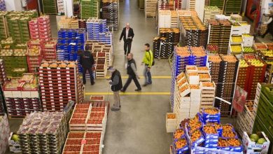 صادرات الخضر المغربية إلى إسبانيا ترتفع بنسبة 28% وتحافظ على منحنى تصاعدي