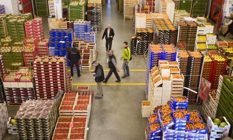 صادرات الخضر المغربية إلى إسبانيا ترتفع بنسبة 28% وتحافظ على منحنى تصاعدي صادرات الخضر المغربية إلى إسبانيا ترتفع بنسبة 28% وتحافظ على منحنى تصاعدي