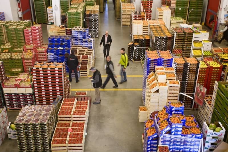صادرات الخضر المغربية إلى إسبانيا ترتفع بنسبة 28% وتحافظ على منحنى تصاعدي