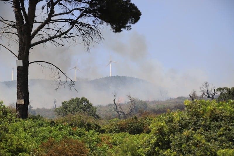 Des dizaines d'incendies se déclarent dans le nord du Maroc et des alertes annoncent un été plus chaud 1 عشرات الحرائق تندلع في شمال المغرب وتحذيرات من صيف أكثر اشتعالًا