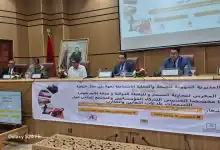 خنيفرة تتحرك: حملات توعية للحد من مخاطر لسعات العقارب ولدغات الأفاعي