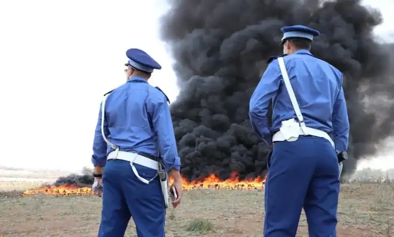 Al Hoceima : Destruction d'énormes quantités de drogues et de comprimés hallucinogènes saisis الحسيمة: إتلاف كميات ضخمة من المخدرات والأقراص المهلوسة المحجوزة