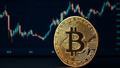 البتكوين يتخطى 113 ألف دولار.. هل بدأت ملامح ثورة مالية جديدة؟