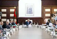 الحكومة تقرر تعليق الرسوم الجمركية على استيراد الأبقار لضمان استقرار سوق اللحوم الحمراء