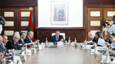 الحكومة تقرر تعليق الرسوم الجمركية على استيراد الأبقار لضمان استقرار سوق اللحوم الحمراء