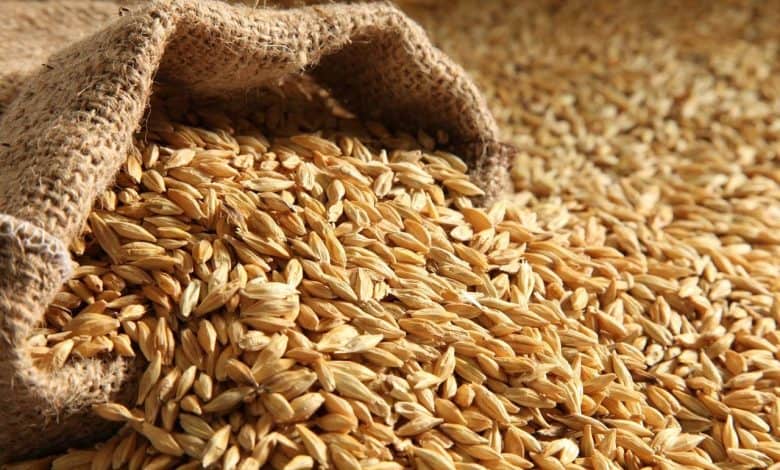 تراجع ملحوظ في أسعار الحبوب والقطاني بالمغرب 1 تراجع ملحوظ في أسعار الحبوب والقطاني بالمغرب