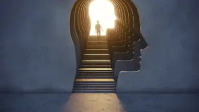 عالم أعصاب يكشف التمرين الأفضل لنمو خلايا دماغية جديدة