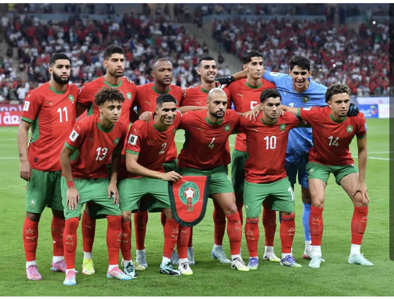 أسود الأطلس ونسور قرطاج يتصدران قائمة المنتخبات العربية الأكثر ظهوراً في المونديال