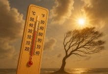 موجة حر قوية تضرب المغرب السبت.. مراكش في الصدارة بـ42 درجة