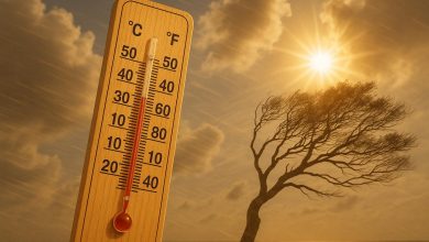 موجة حر قوية تضرب المغرب السبت.. مراكش في الصدارة بـ42 درجة