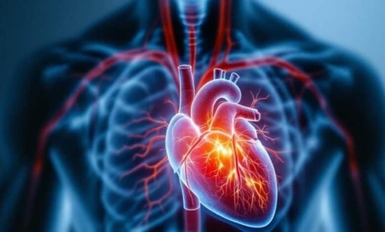 Une étude : Une infection bactérienne peut être à l'origine d'un infarctus du myocarde 1 دراسة: العدوى البكتيرية قد تكون سببًا في احتشاء عضلة القلب