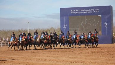 الدورة 16 لمعرض الفرس بالجديدة: منصة عالمية تؤكد ريادة المغرب في الفروسية
