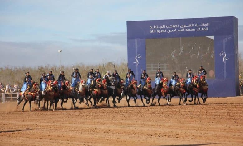 الدورة 16 لمعرض الفرس بالجديدة: منصة عالمية تؤكد ريادة المغرب في الفروسية