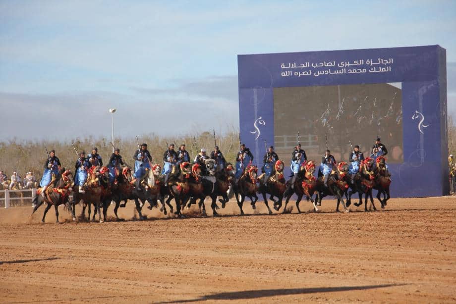La 16e édition du Salon du cheval de Jdeideh : Une plateforme mondiale qui souligne le leadership du Maroc en matière d'équitation 1 الدورة 16 لمعرض الفرس بالجديدة: منصة عالمية تؤكد ريادة المغرب في الفروسية