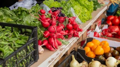 الفواكه والخضراوات: المغرب يضاعف صادراته الزراعية ويزيد قيمتها خمسة أضعاف خلال عقدين 2 الفواكه والخضراوات: المغرب يضاعف صادراته الزراعية ويزيد قيمتها خمسة أضعاف خلال عقدين