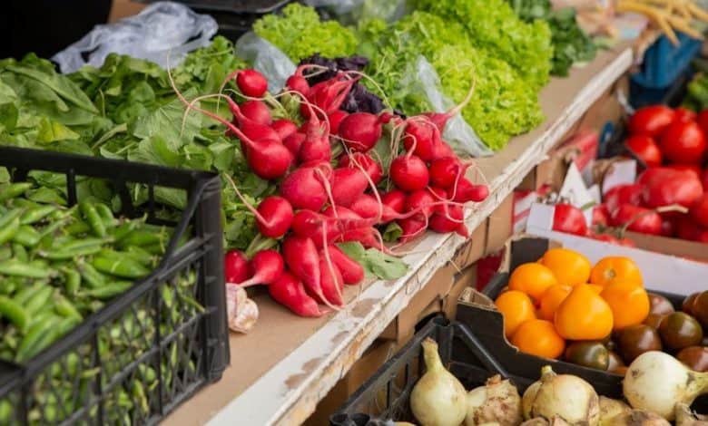 الفواكه والخضراوات: المغرب يضاعف صادراته الزراعية ويزيد قيمتها خمسة أضعاف خلال عقدين 1 الفواكه والخضراوات: المغرب يضاعف صادراته الزراعية ويزيد قيمتها خمسة أضعاف خلال عقدين