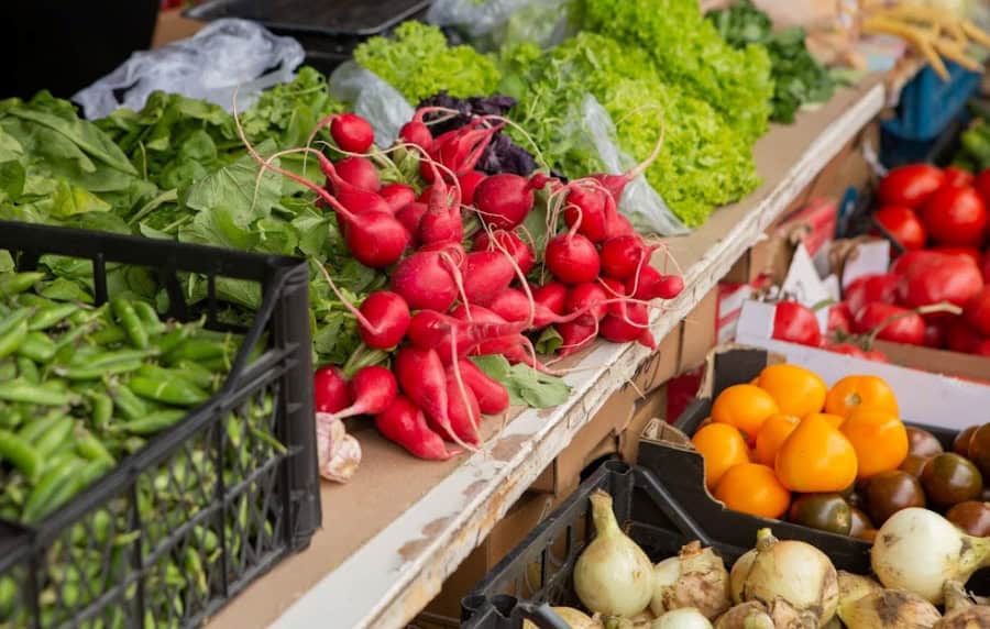 Fruits et légumes : Le Maroc double et quintuple ses exportations agricoles en deux décennies 1 الفواكه والخضراوات: المغرب يضاعف صادراته الزراعية ويزيد قيمتها خمسة أضعاف خلال عقدين