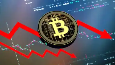 المستثمرون في العملات الرقمية تحت الصدمة.. بيتكوين يهوِي تحت 90 ألف دولار 14 المستثمرون في العملات الرقمية تحت الصدمة.. بيتكوين يهوِي تحت 90 ألف دولار