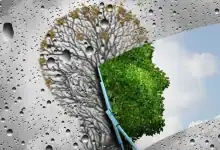 لِعُمرٍ أطول… 5 عادات يومية بسيطة تُبطئ الشيخوخة فعليًا