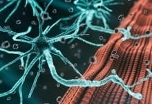 علاج مبتكر يحمي الخلايا العصبية المتضررة من مرض "العصبون الحركي"