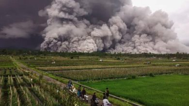 ثوران بركان سيميرو يجبر مئات السكان على النزوح في إندونيسيا