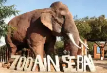 الدار البيضاء: حديقة حيوان عين السبع تعود للحياة بعد ترميم شامل