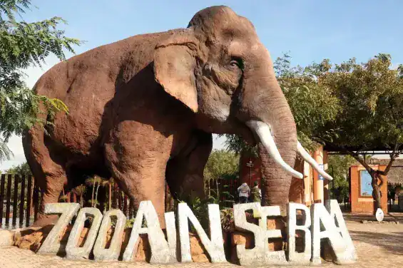 الدار البيضاء: حديقة حيوان عين السبع تعود للحياة بعد ترميم شامل