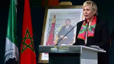 صندوق محمد السادس يحشد 19 مليار درهم للاقتصاد الوطني