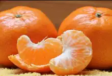 رقم قياسي جديد لصادرات الماندرين المغربي إلى ألمانيا