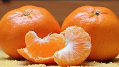 رقم قياسي جديد لصادرات الماندرين المغربي إلى ألمانيا 2 رقم قياسي جديد لصادرات الماندرين المغربي إلى ألمانيا