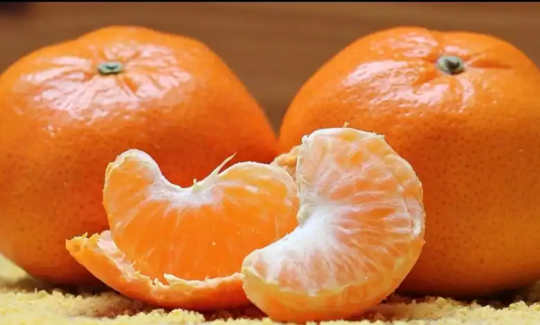 Nouveau record pour les exportations de mandarines marocaines vers l'Allemagne 1 رقم قياسي جديد لصادرات الماندرين المغربي إلى ألمانيا